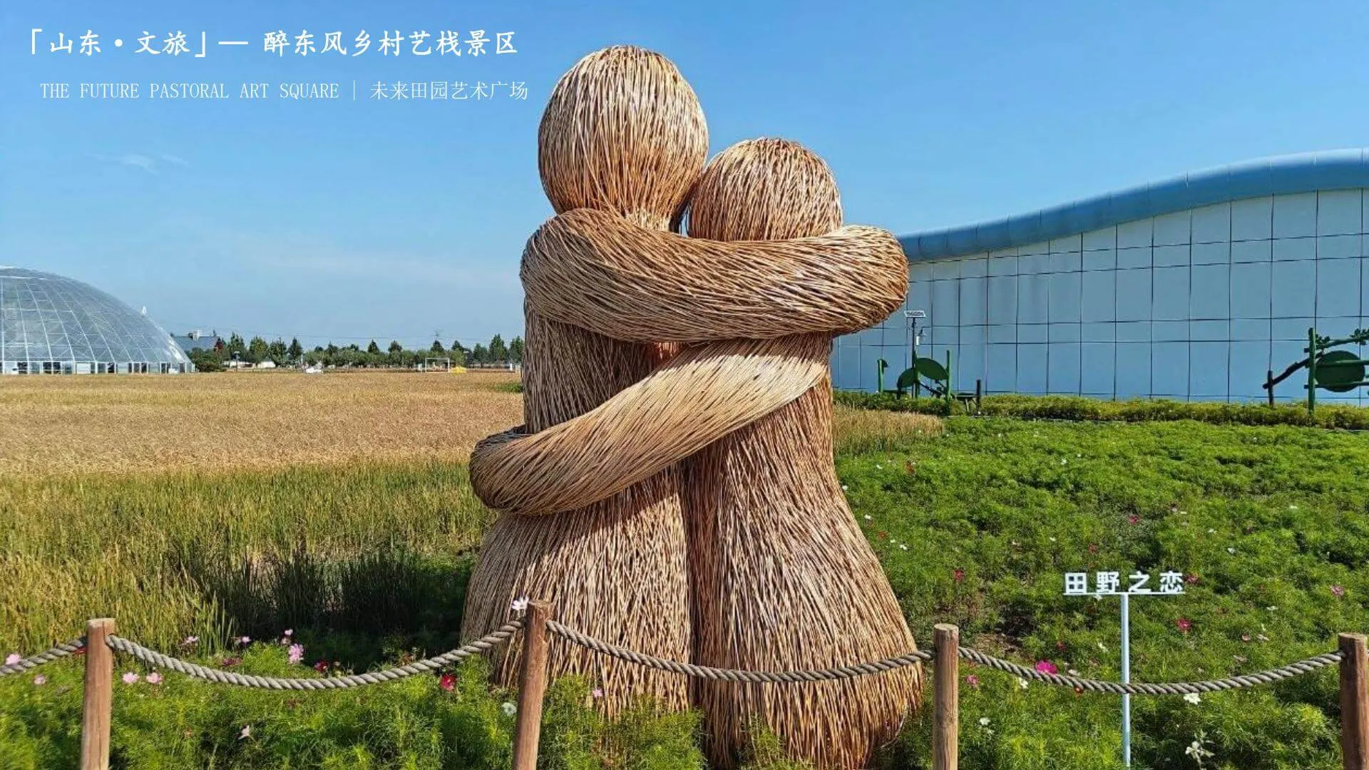 Shandong · Culture and Tourism 8