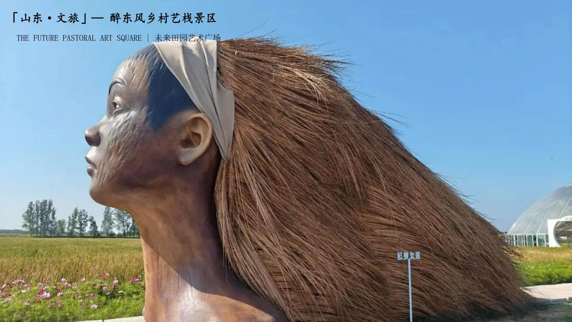 Shandong · Culture and Tourism 9