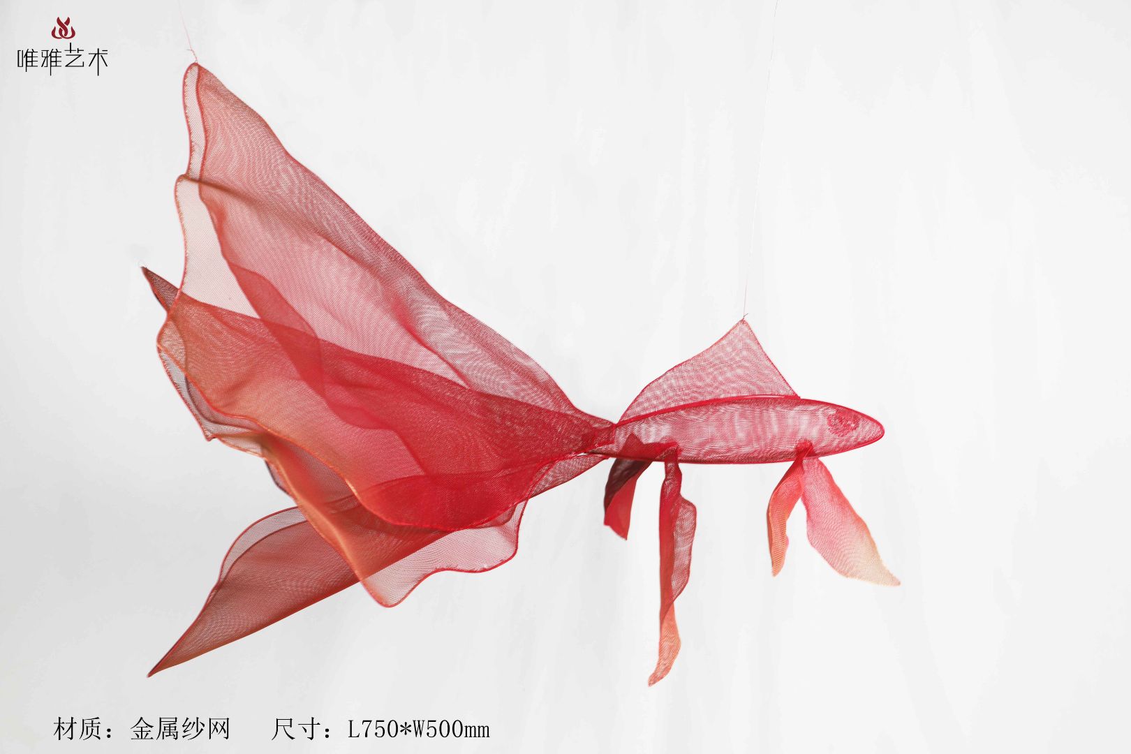 JS-XZS-YC- Fish 007-02a1