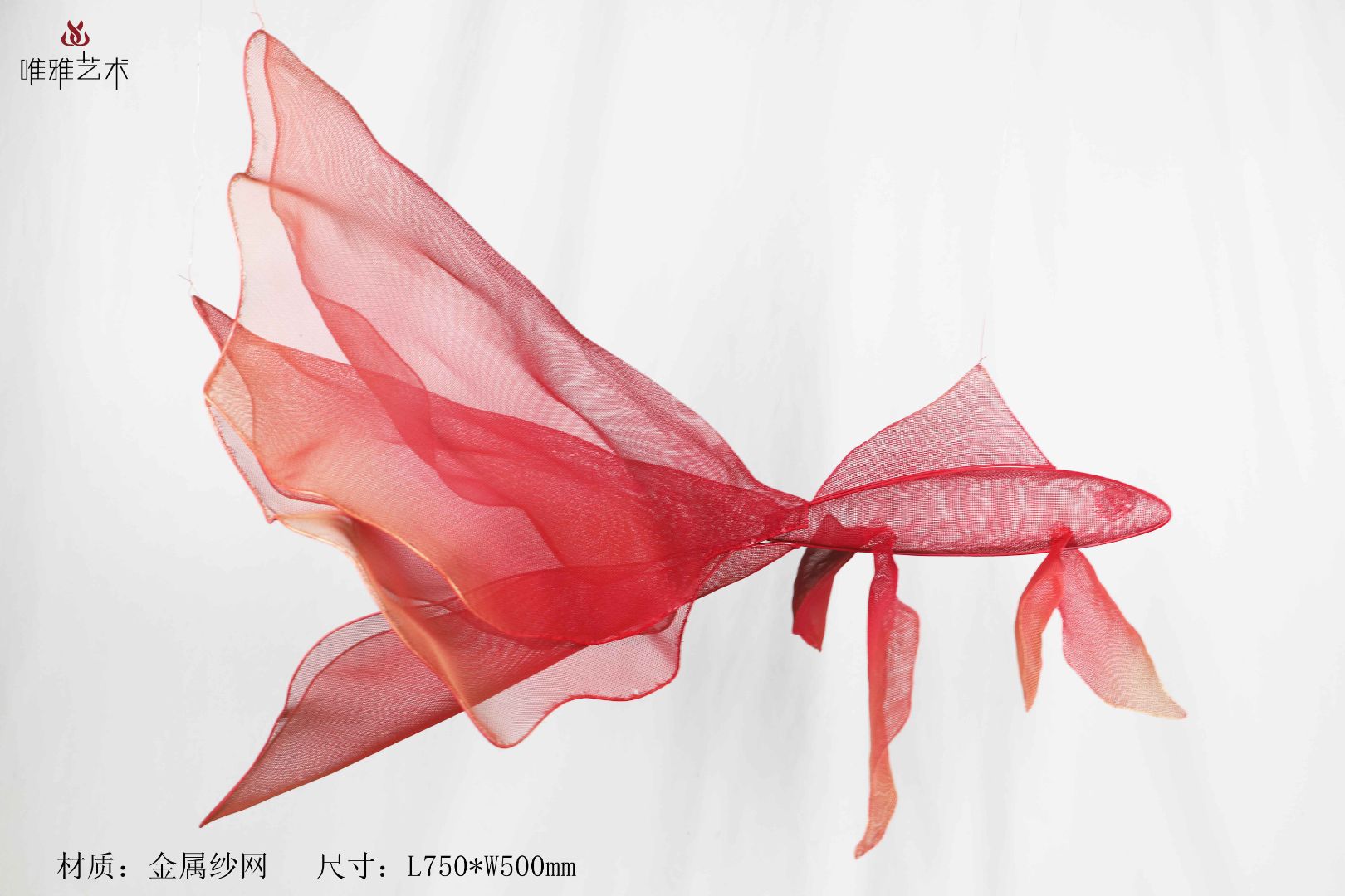 JS-XZS-YC- Fish 007-02a2