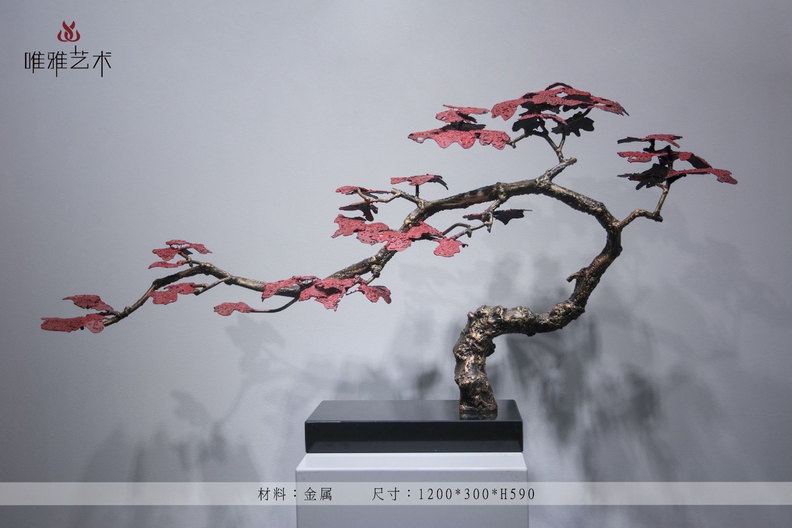 JS-XZS-YC- Pine (leaves) 009-06a1