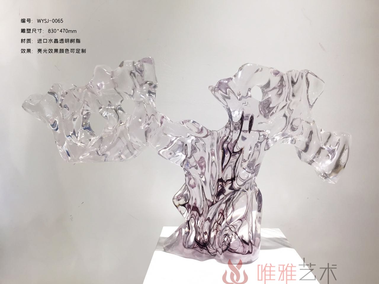 TMSZ-JY- The Taihu Lake Stone 003-25a1