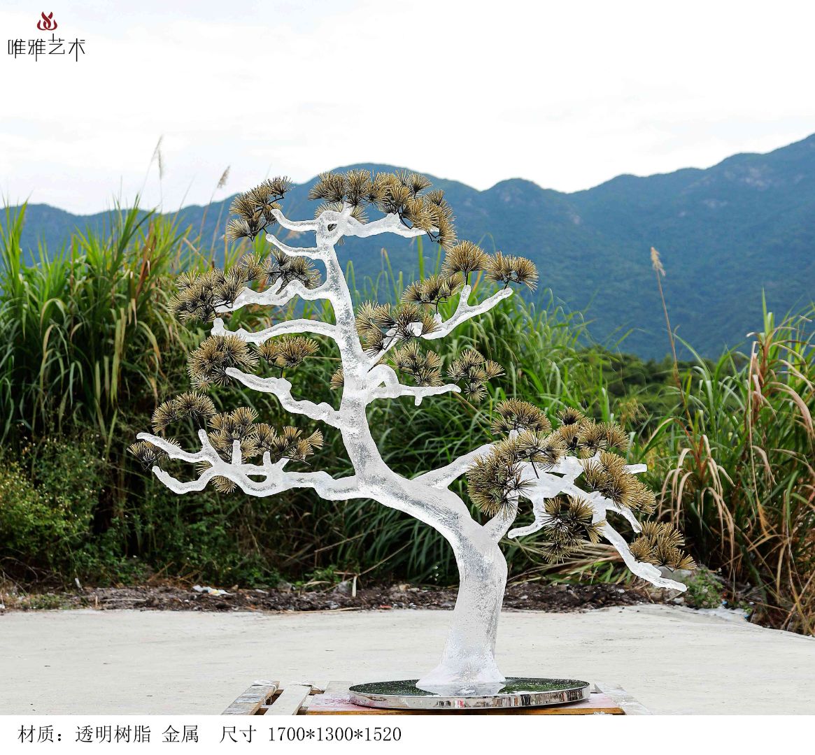TMSZ-JY- Tree 016-02a1
