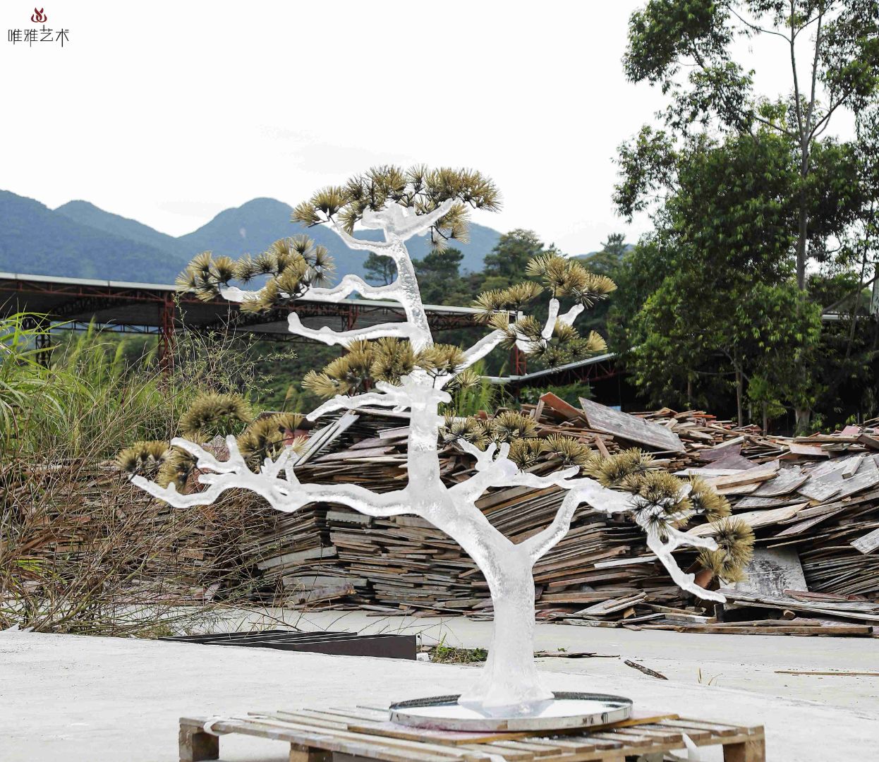 TMSZ-JY- Tree 016-02a3