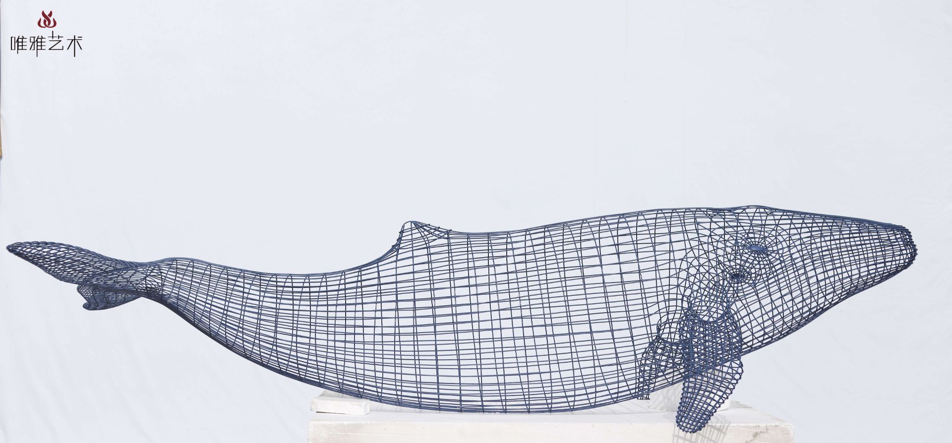 BGDS-DS- fish 006-08a2
