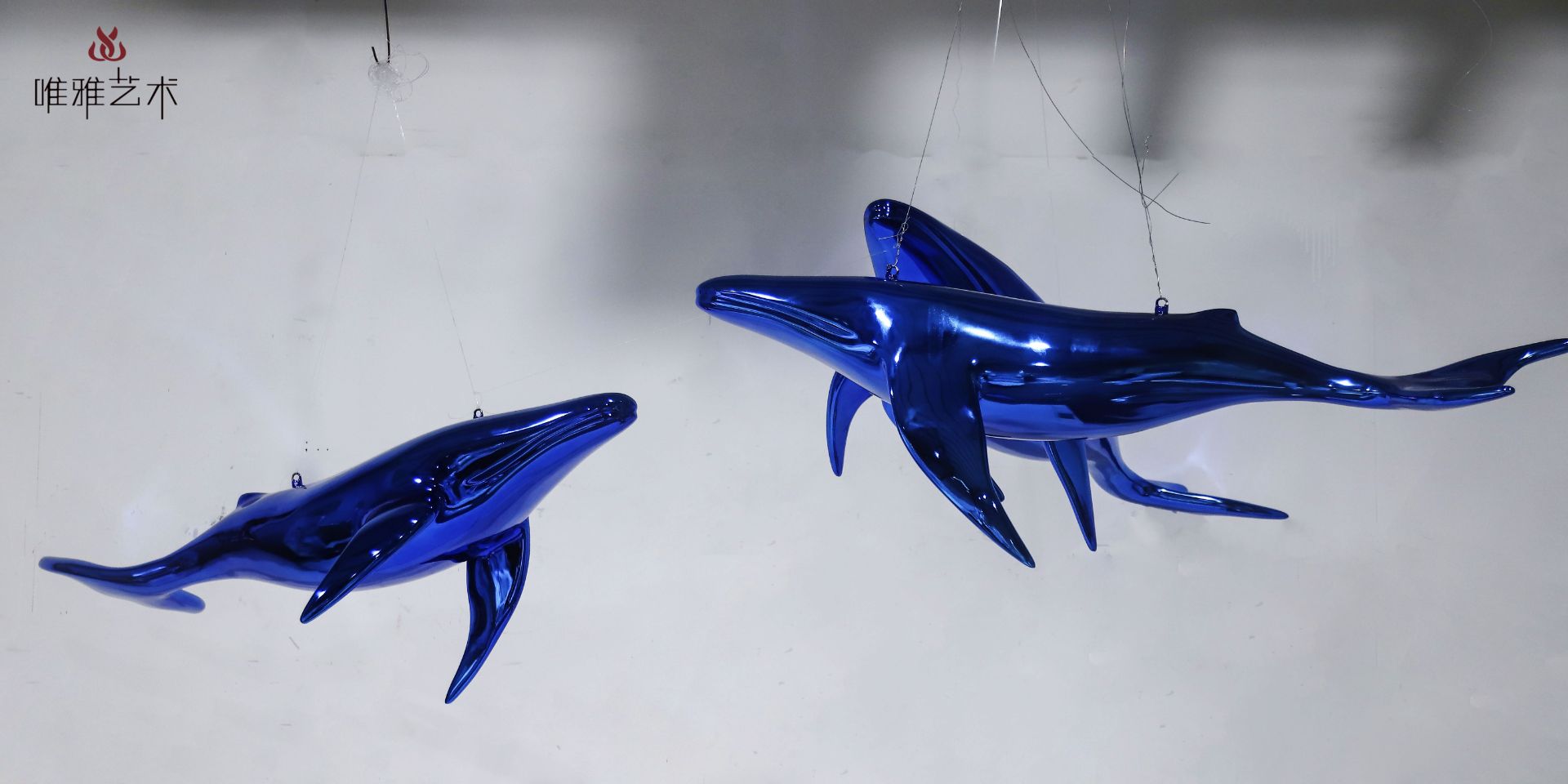 BGDS-DS- fish 006-09a2