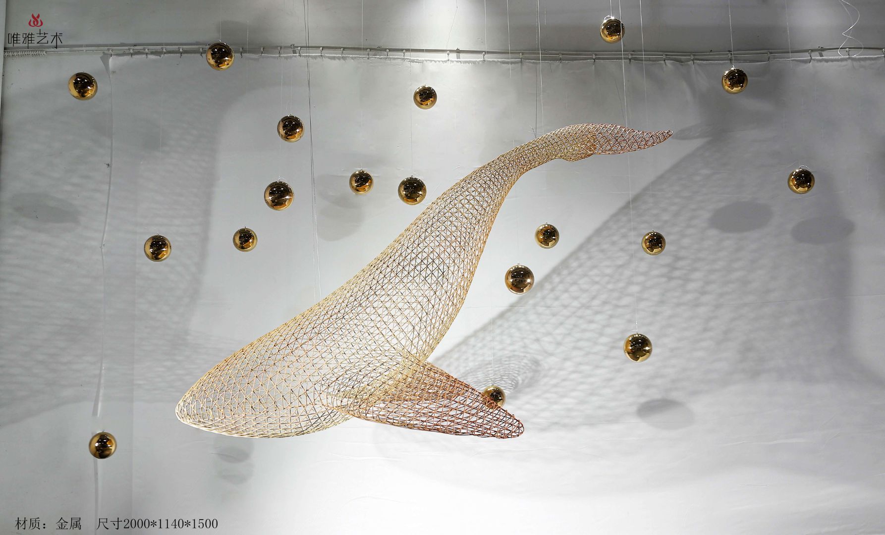 BGDS-DS- fish 006-13a1