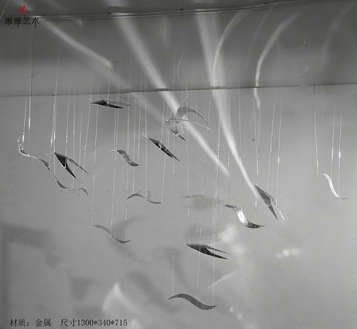 BGDS-DS- birds 007-02a1