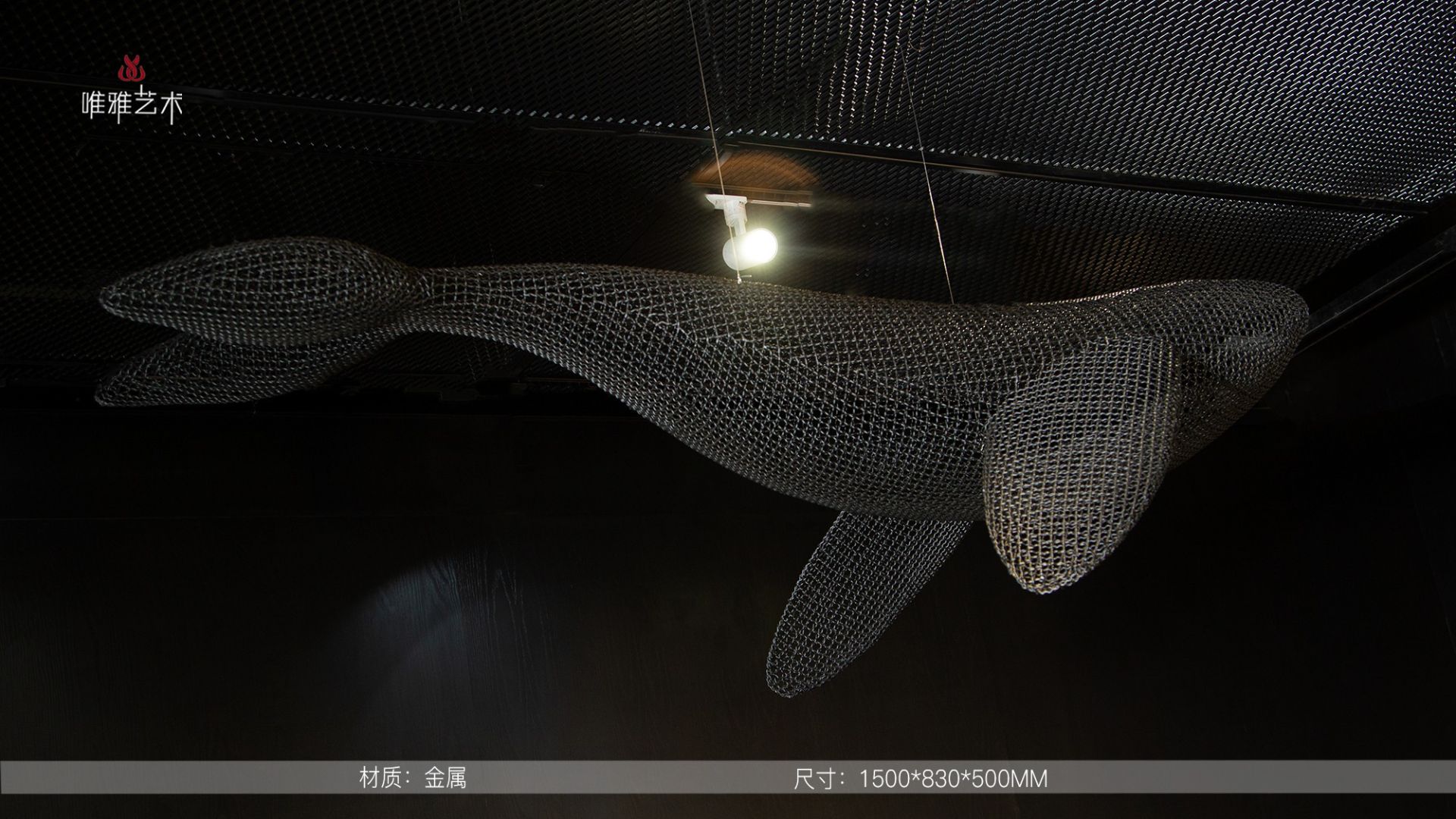 BGDS-BG- dolphin 018-03a2