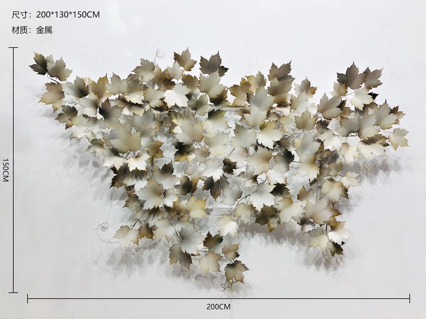 BGDS-BG- leaf 021-14a1