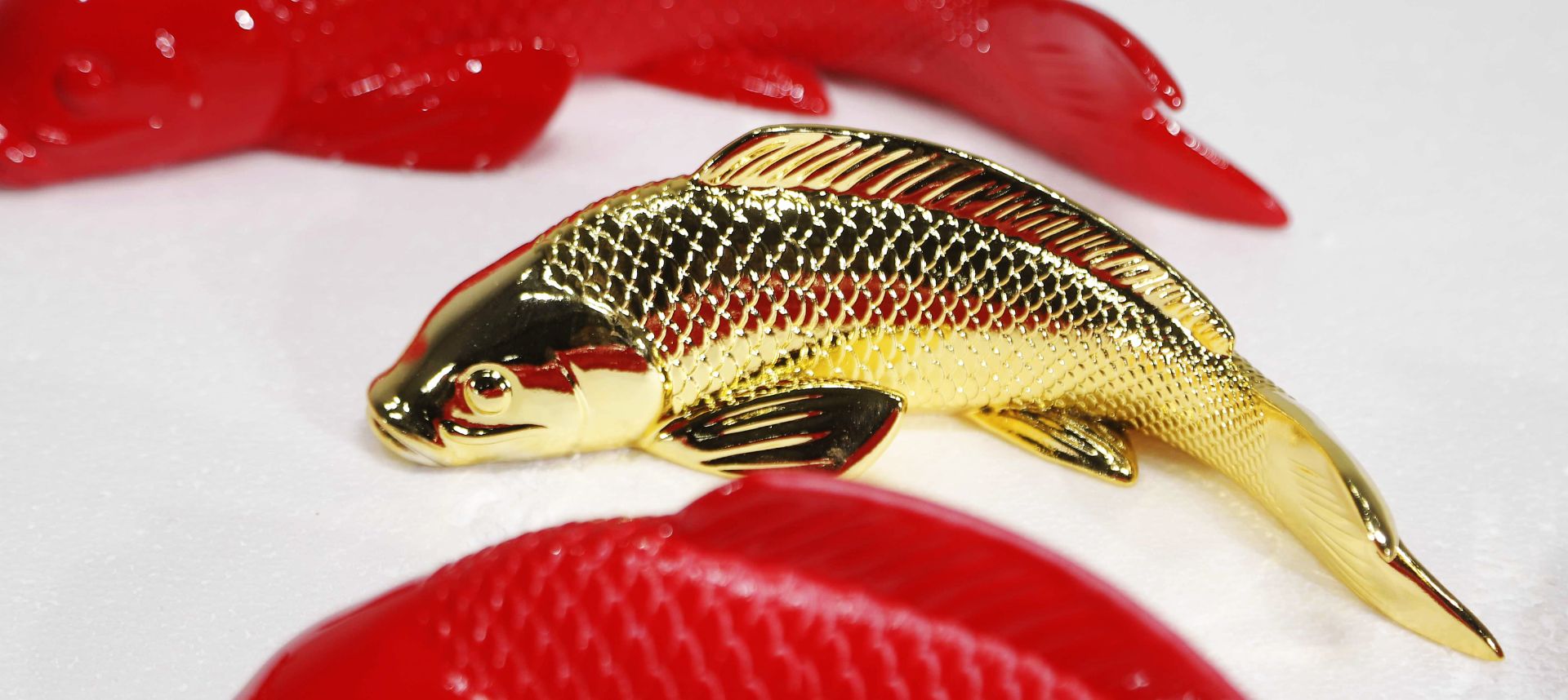 BLG-CW-D- fish 015-05a1