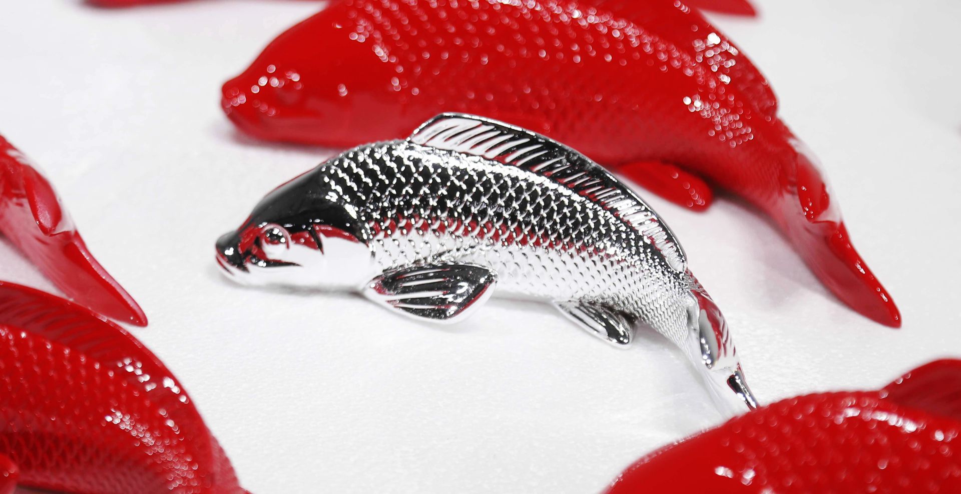BLG-CW-D- fish 015-05a2