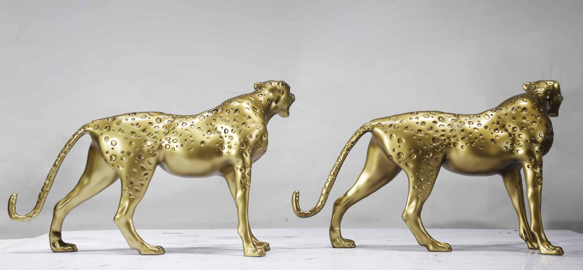 BLG-CW-D- leopard 016-02b3