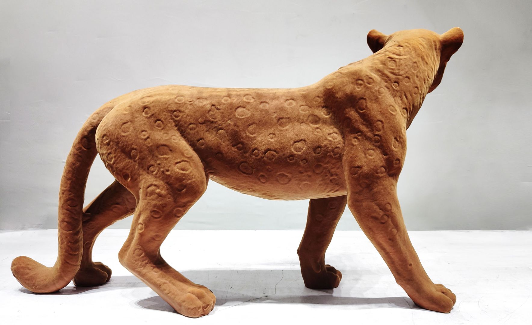 BLG-CW-D- leopard 016-04a3