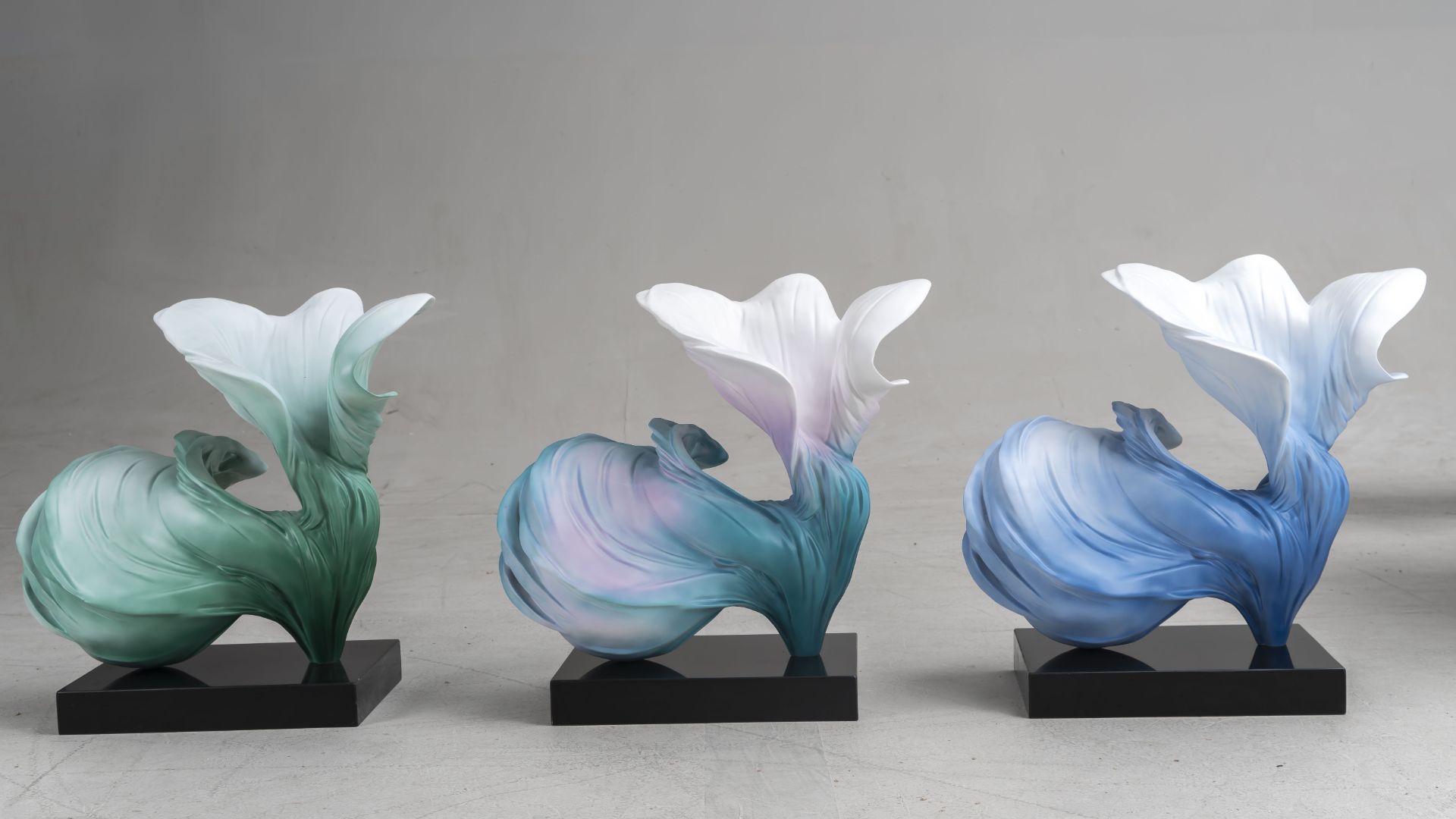 BLG-CX-Y- flower001 -022d1