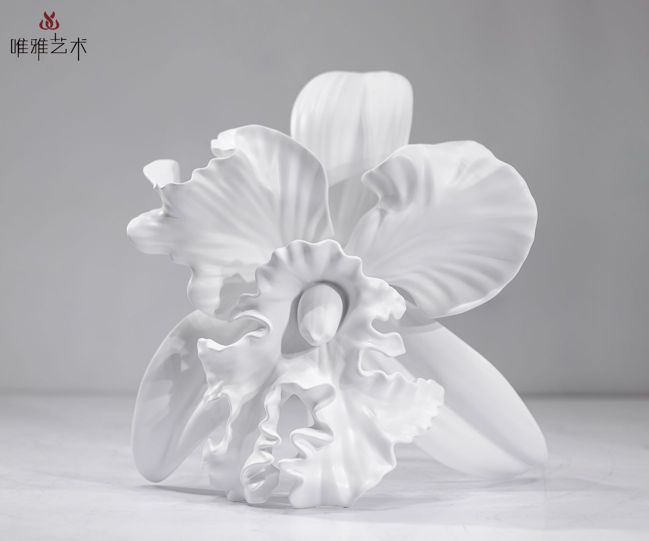 BLG-CX-Y- flower001 -035a4
