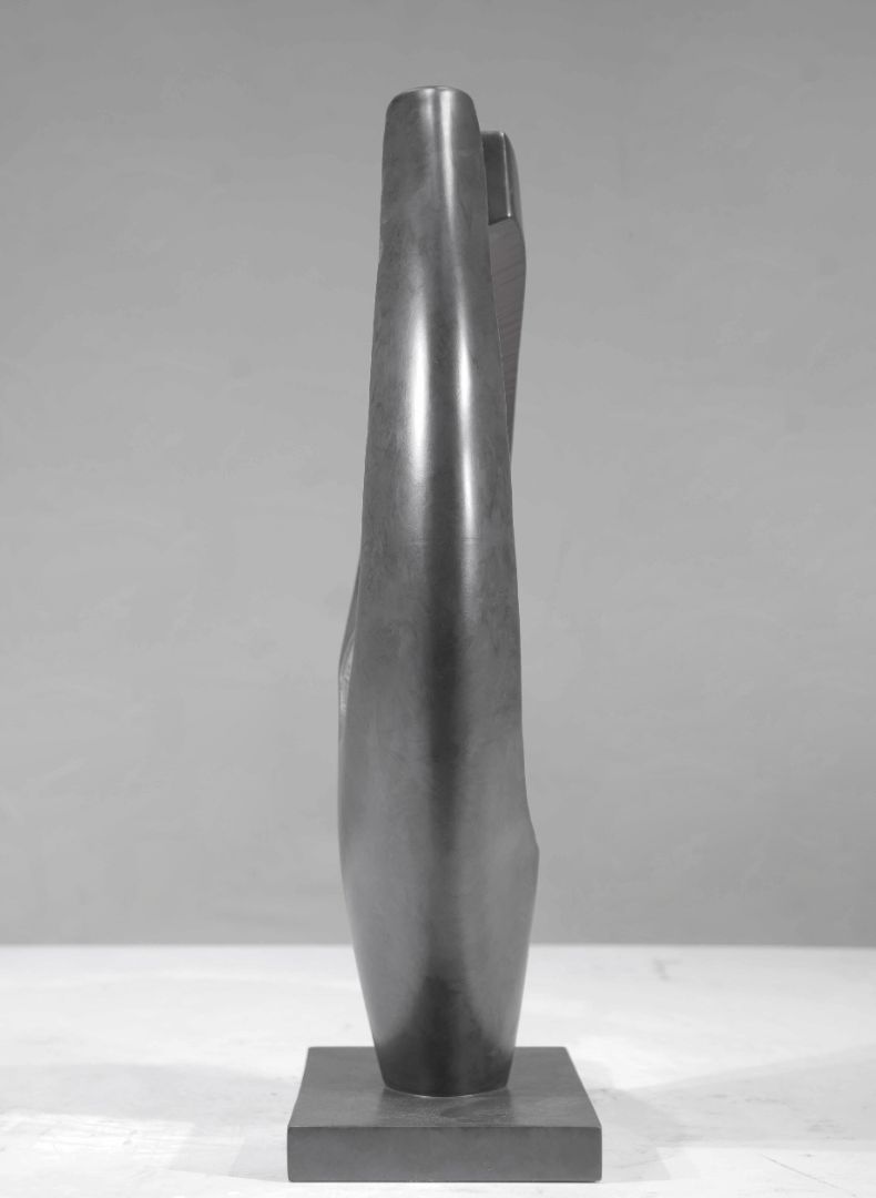 BLG-CX-Y- Straight type 005-206a2