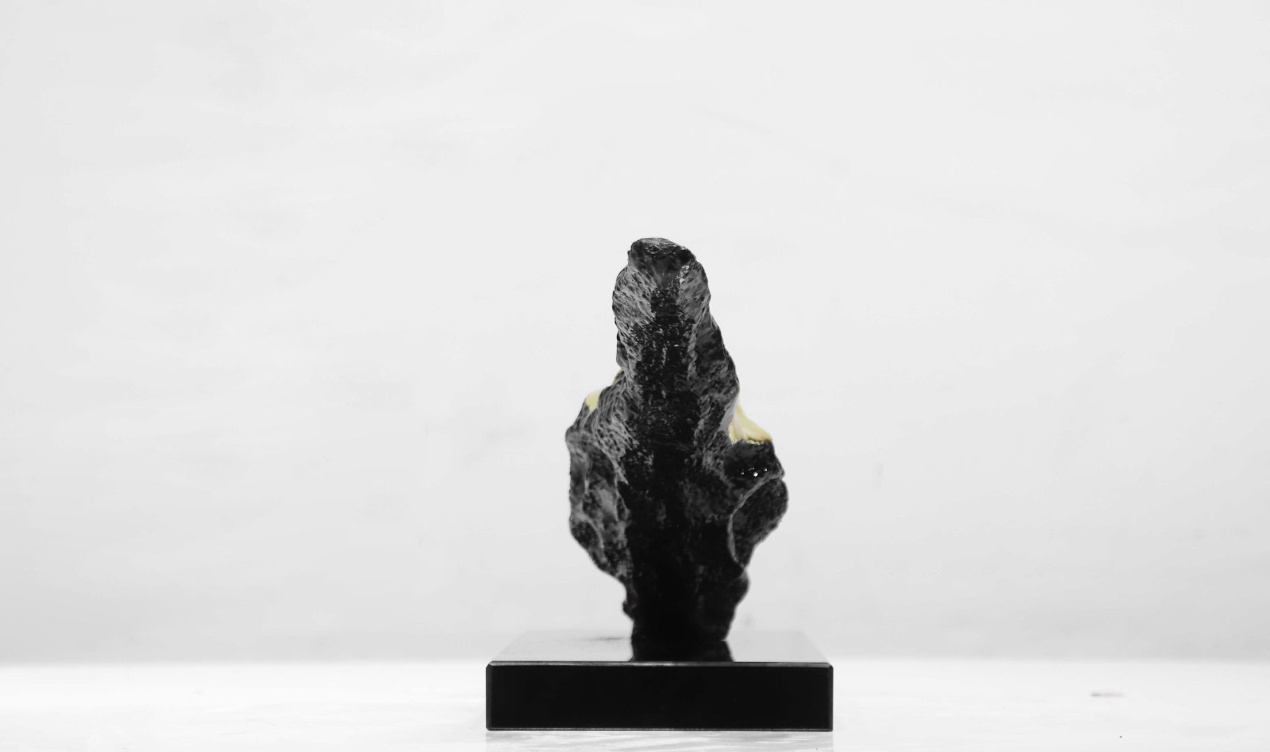 BLG-CX-Y- horizontal 012-14a2