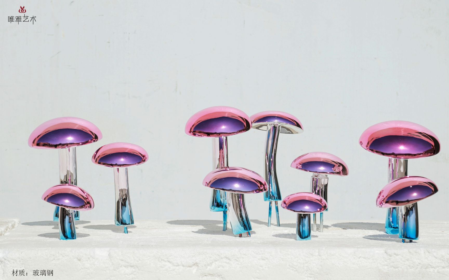 BLG-CX-D- mushroom 016-06a1
