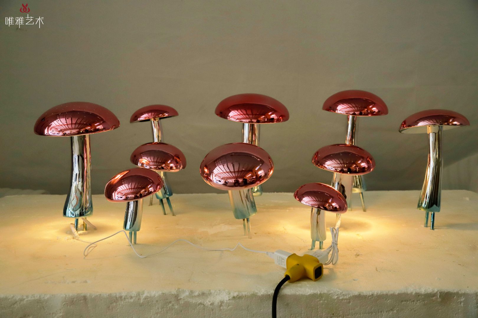 BLG-CX-D- mushroom 016-06a2